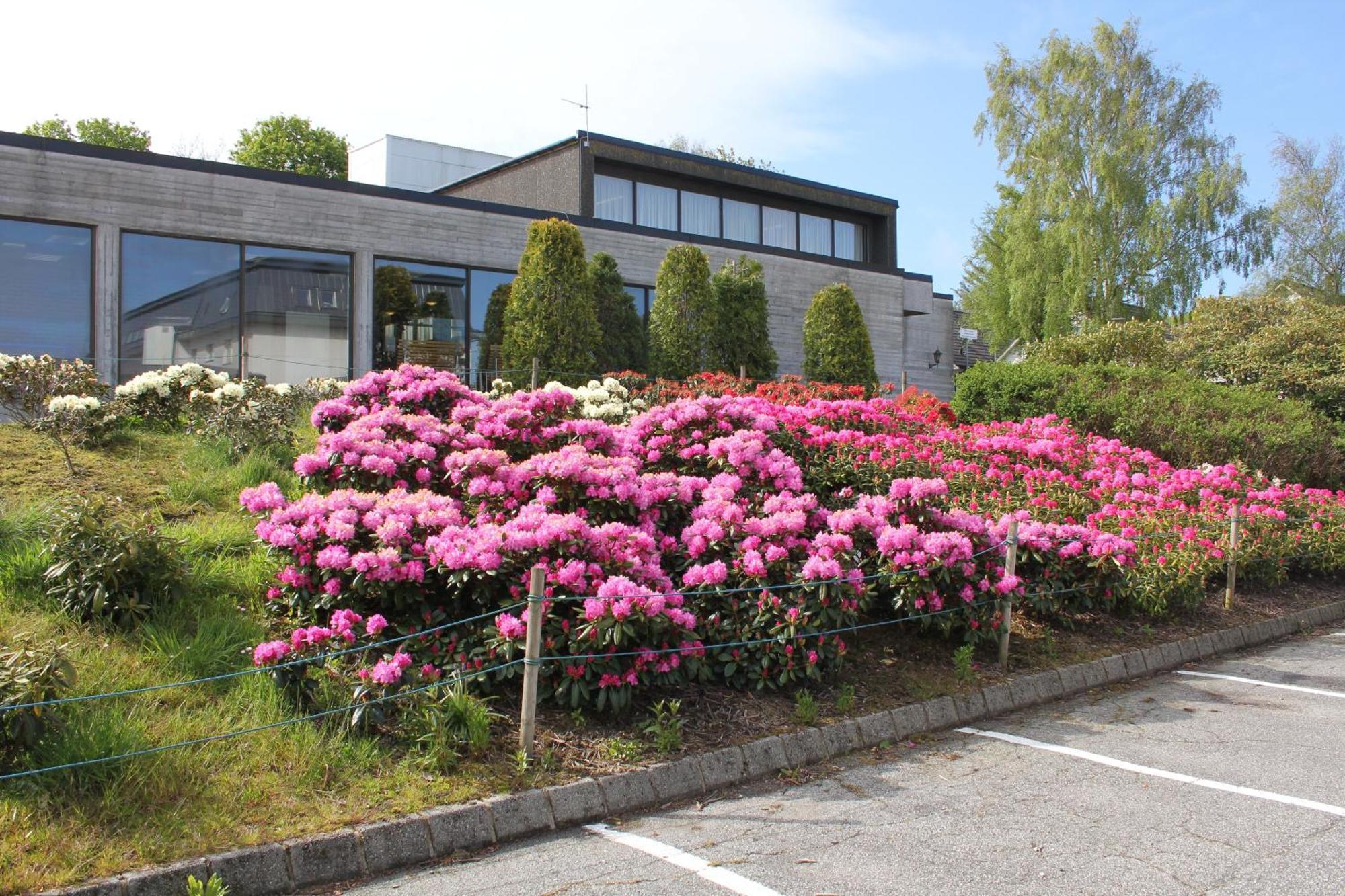 Solborg Folkehogskole Hostel Stavanger Eksteriør billede