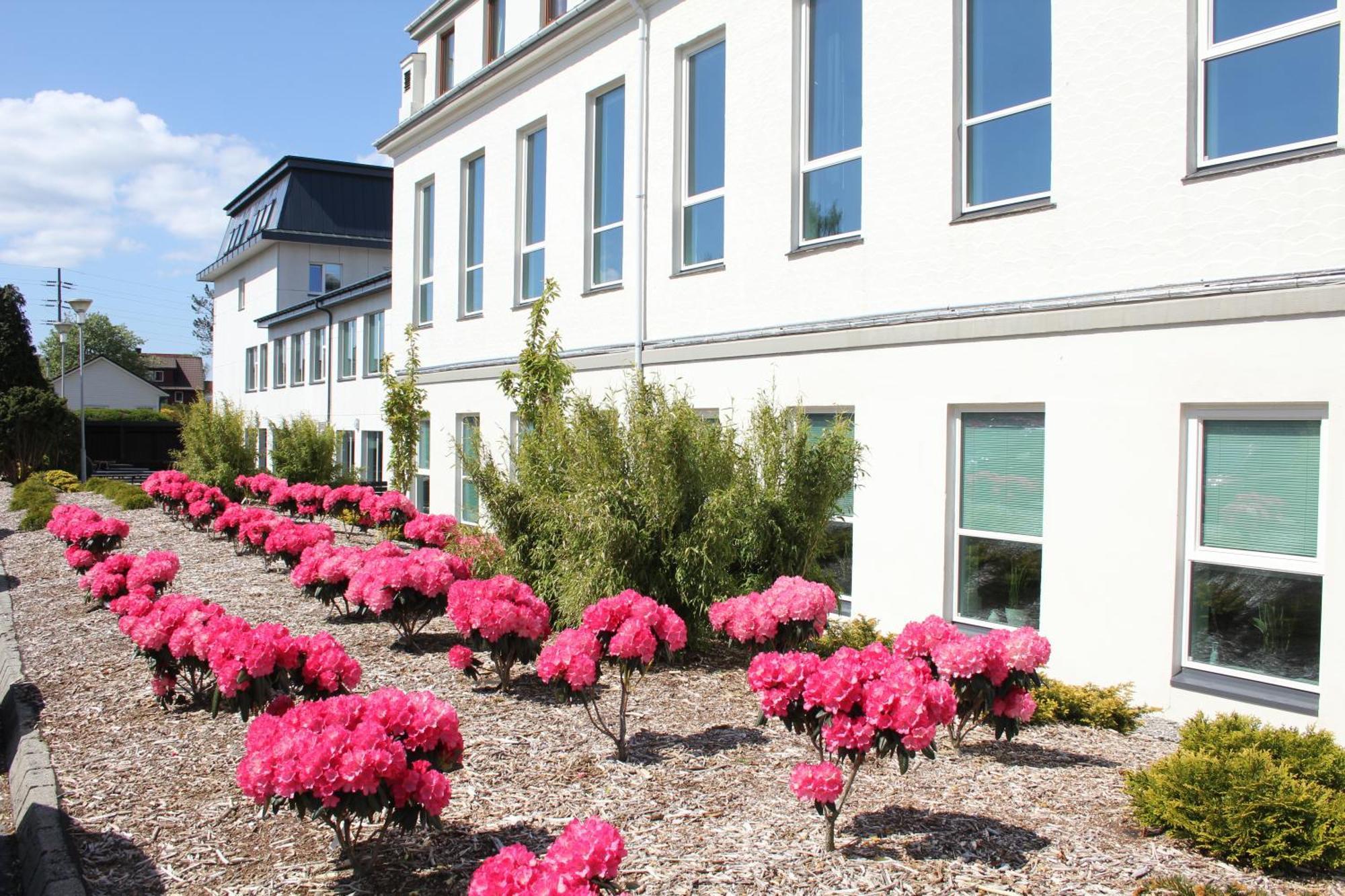 Solborg Folkehogskole Hostel Stavanger Eksteriør billede